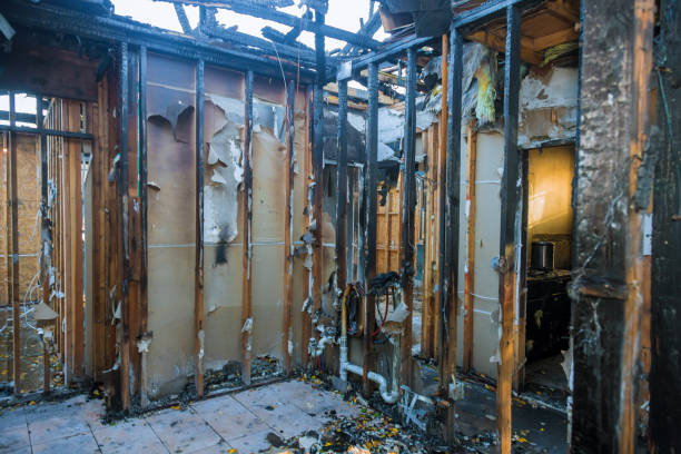 Professional Odor Removal technician working in Hardin, MT